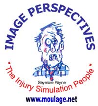 ex_Image-Perspectives_000